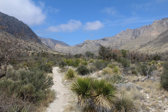 Two days in Whites City, NM / Carlsbad Caverns NP / Guadalupe NP–Big Trip #1