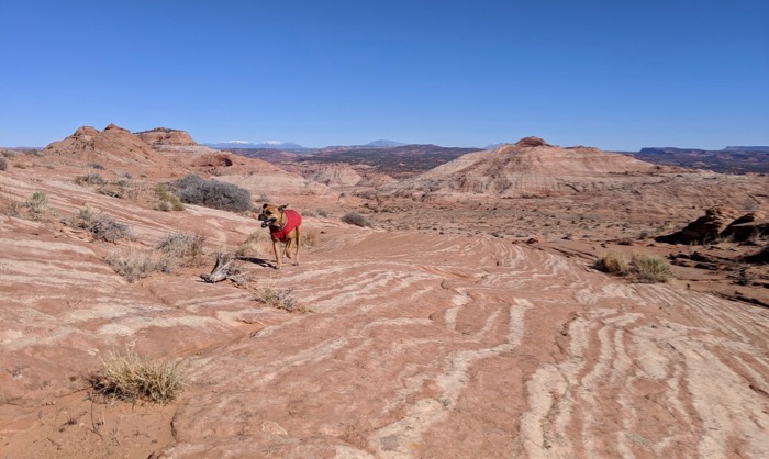Four days in Escalante, Utah (visit #2)–Big Trip #2
