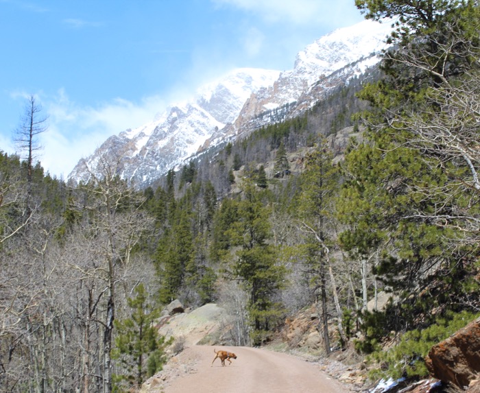 Trip planning: Northern Rockies, California in the fall: What’s open in the national parks?