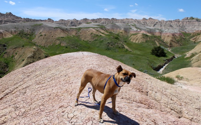 Badlands National Park