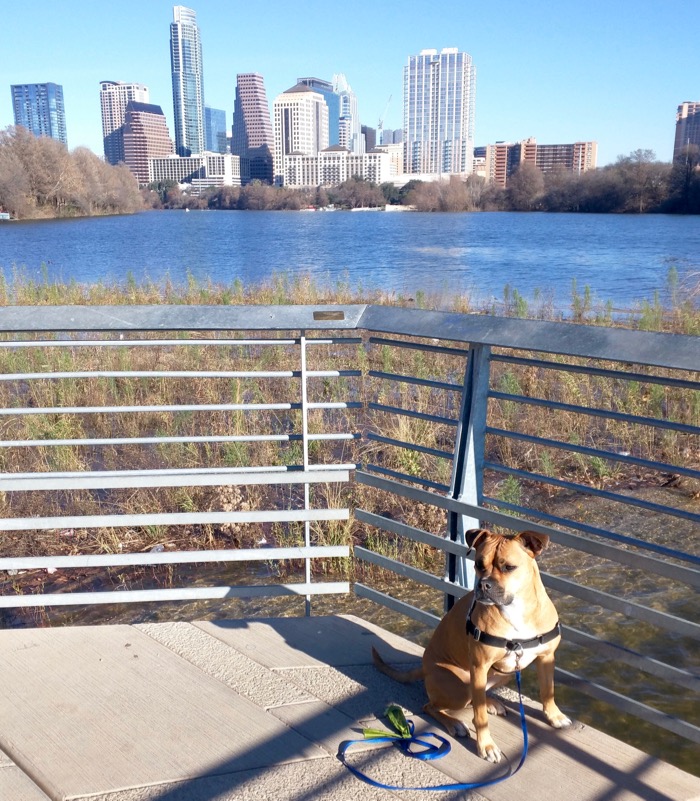 Austin: Exploring the City–Winter Loop to Austin