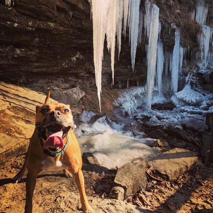 Three days in Fayetteville, AR–Big Bend Loop