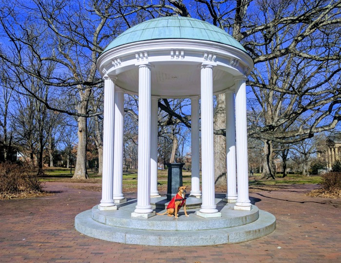 Two days in Chapel Hill / Durham / Carrboro, NC–Big Bend Loop