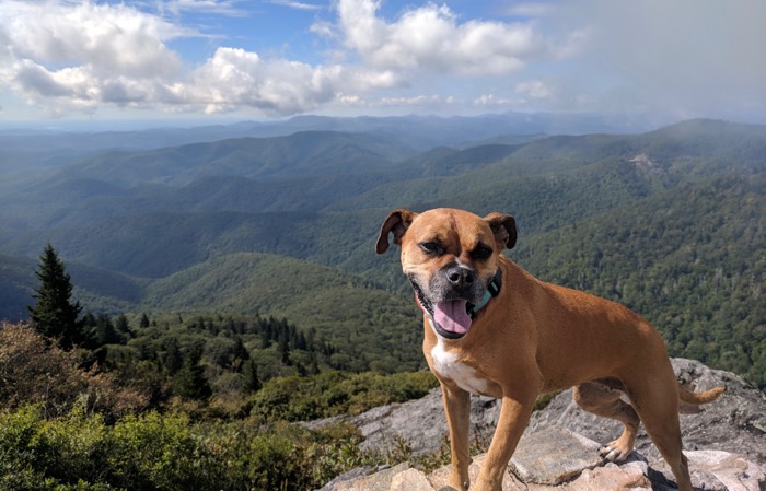 Two days in Sylva, NC