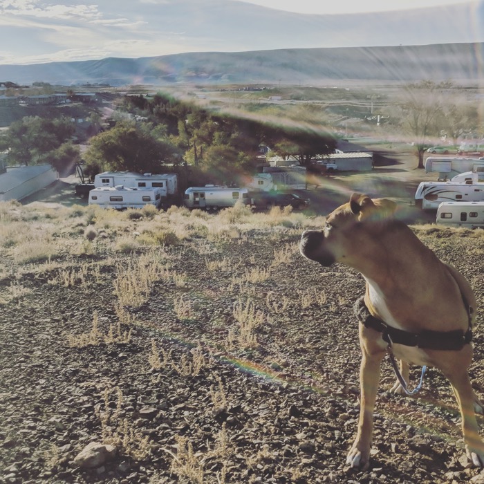 One day in Rock Springs, WY–Big Trip #2
