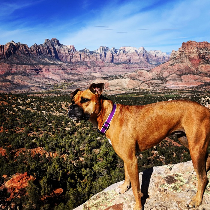 Five days in Virgin, UT–Big Trip #2