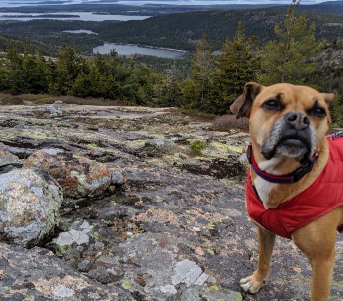 Five days in Bar Harbor, Maine–Acadia Loop trip