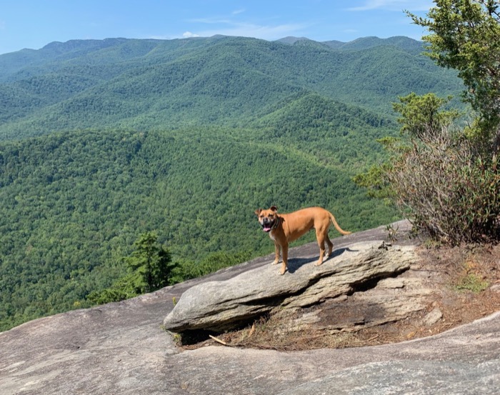 Trip planning: the Smokies in the Spring
