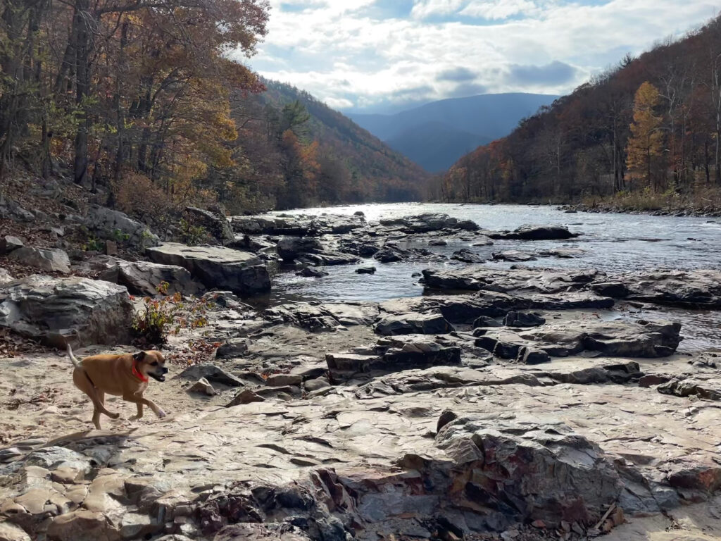 One night in Erwin, TN–Quickie Fall Loop