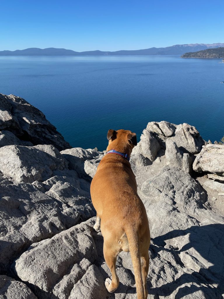 Three nights in Lake Tahoe, CA & NV–Big Trip #4