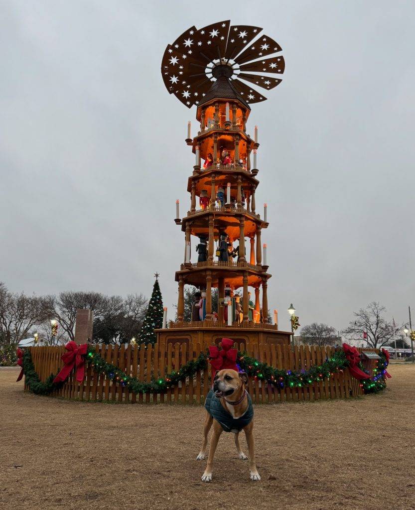 One night in Fredericksburg, TX (visit #3)–Tucson for Christmas trip