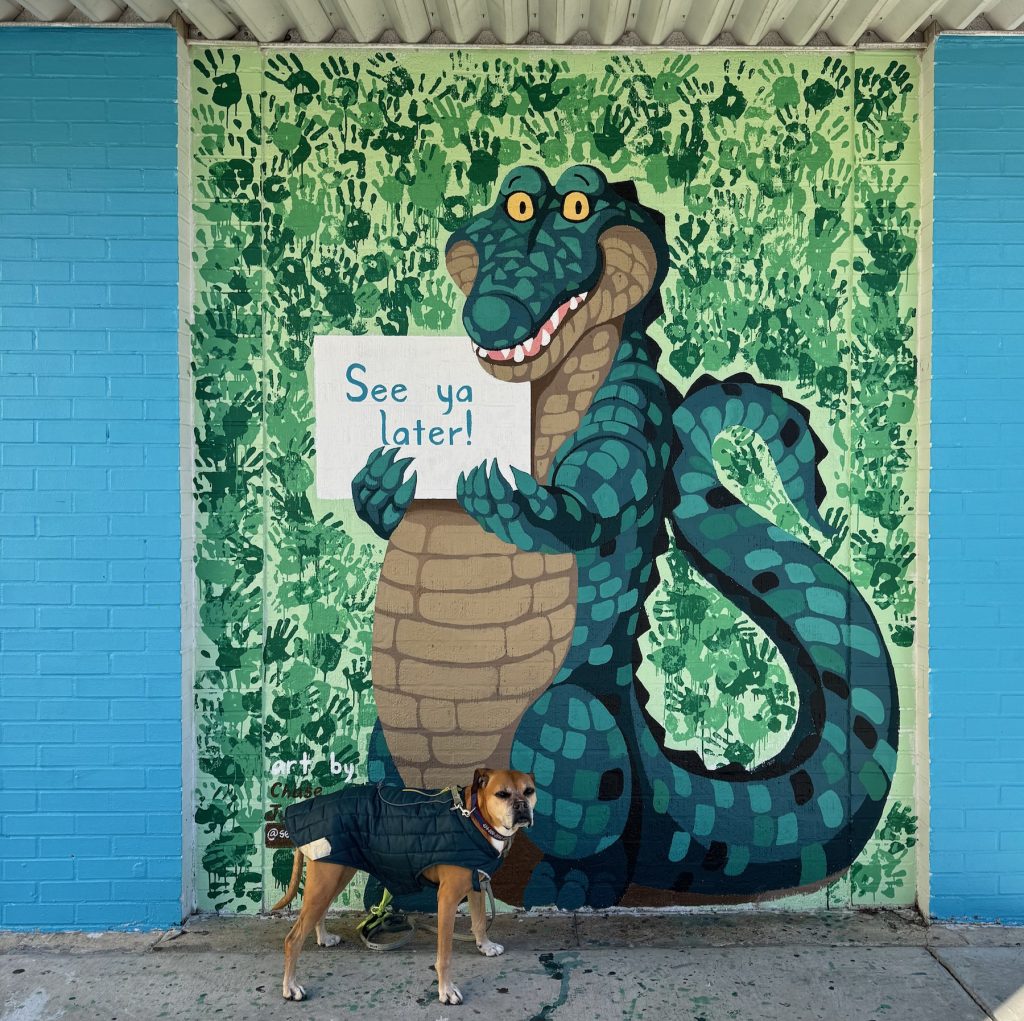One night in Lafayette, LA (visit #2)–Tucson for Christmas trip