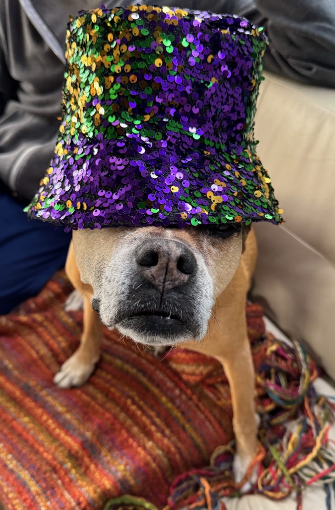 Three nights in New Orleans, LA (visit #3)–Tucson for Christmas trip