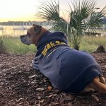 Bugsy at sunset by Skull Creek