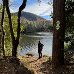 Bugsy hiking by the lake in Bent Creek